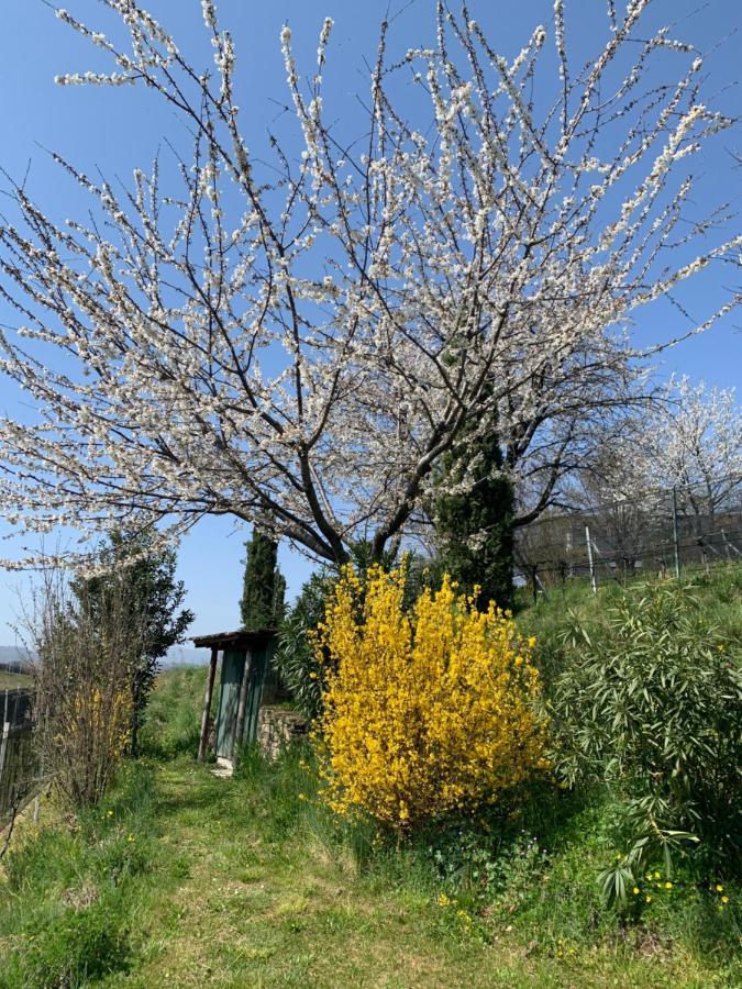 Appartamento Tiemi Coldrerio Εξωτερικό φωτογραφία