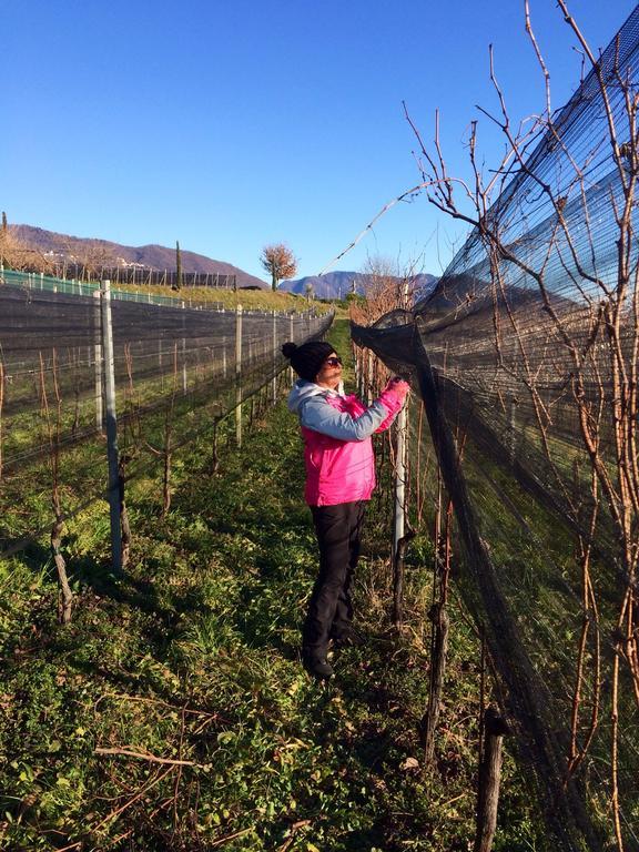 Appartamento Tiemi Coldrerio Εξωτερικό φωτογραφία